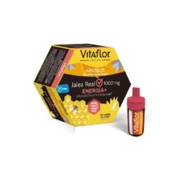 Vitaflor Energia Plus 20 Vial